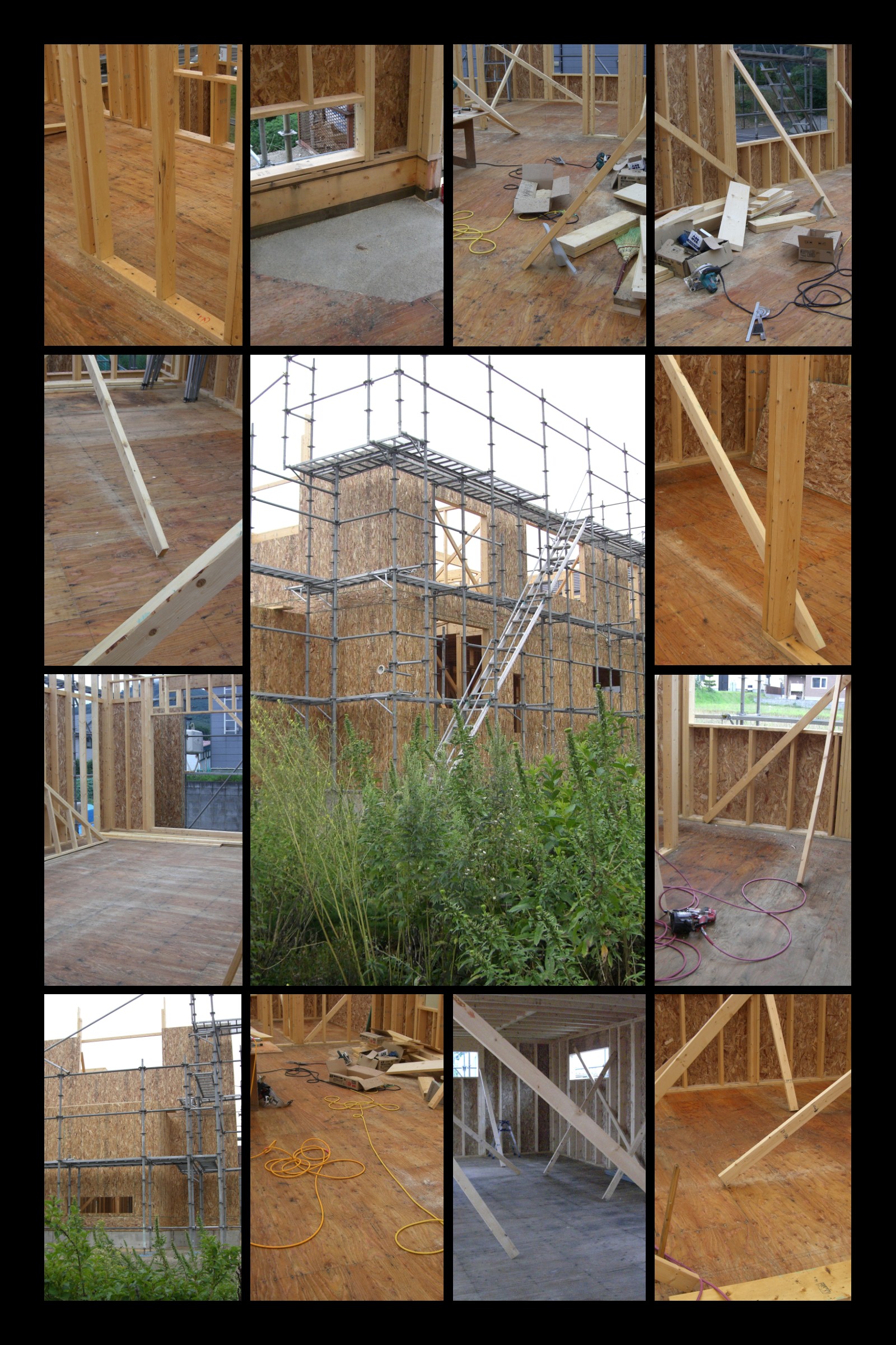 ���[�t���b�g�~���[�Y���z��