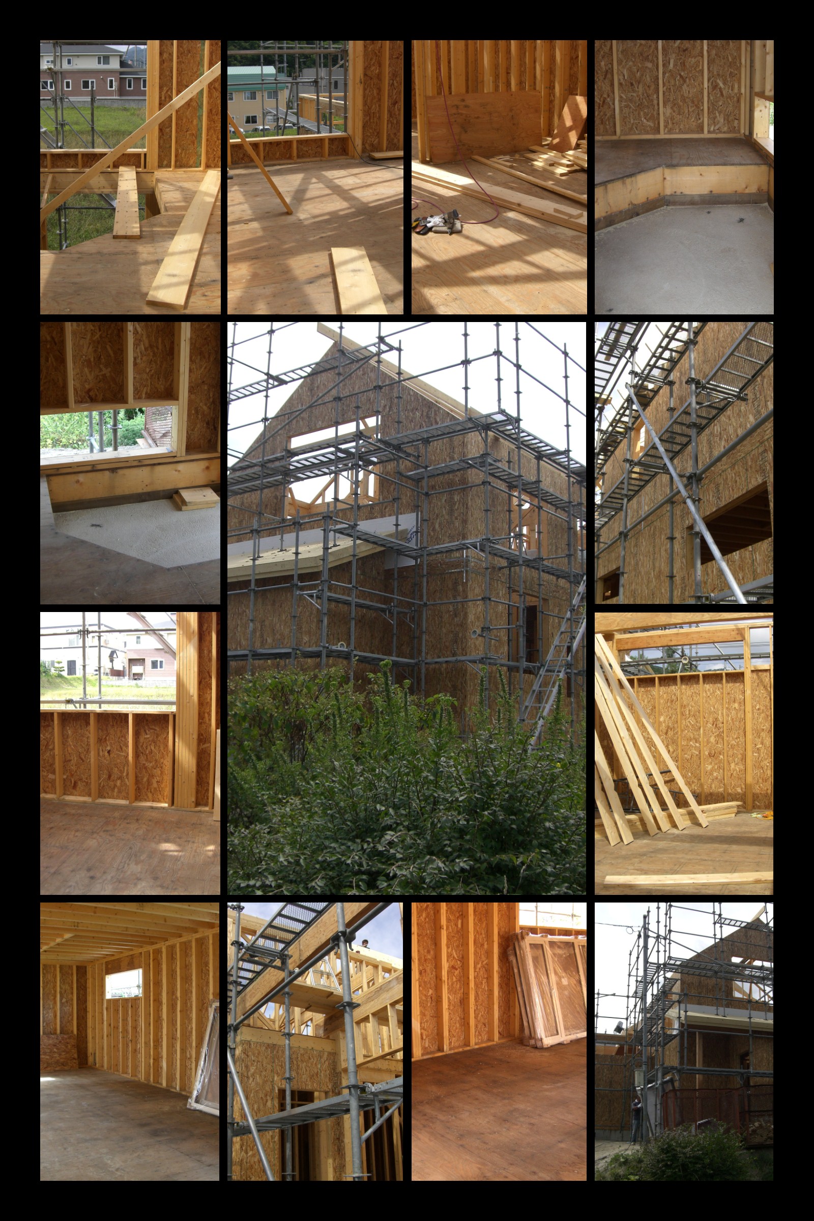 ���[�t���b�g�~���[�Y���z��