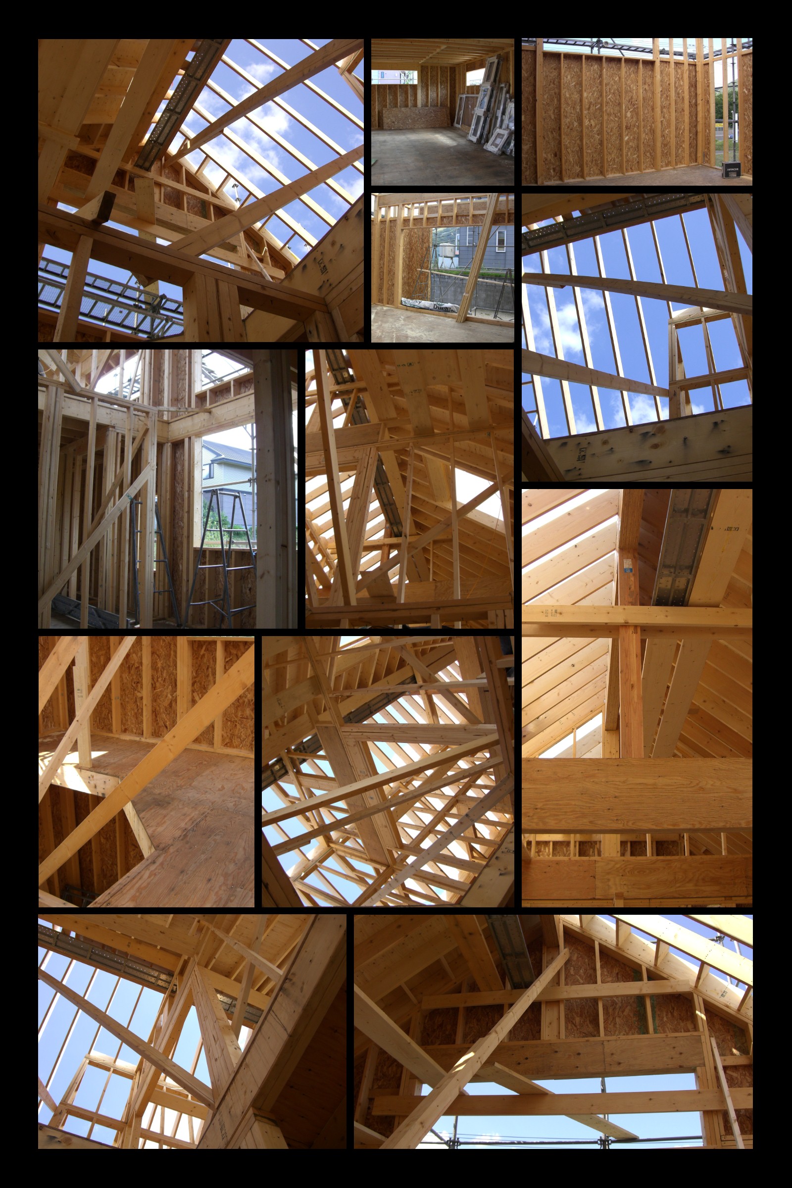 ���[�t���b�g�~���[�Y���z��