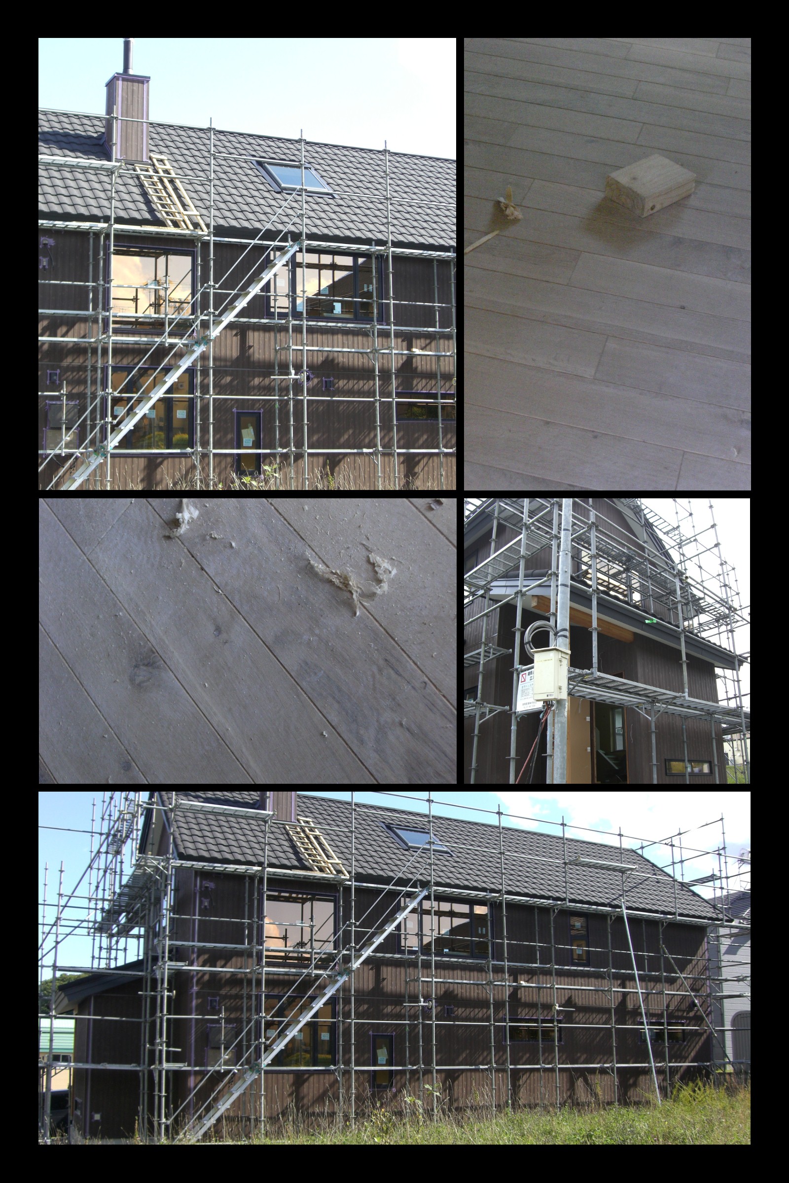 �D�y�̃M�������[�ƃz�[��