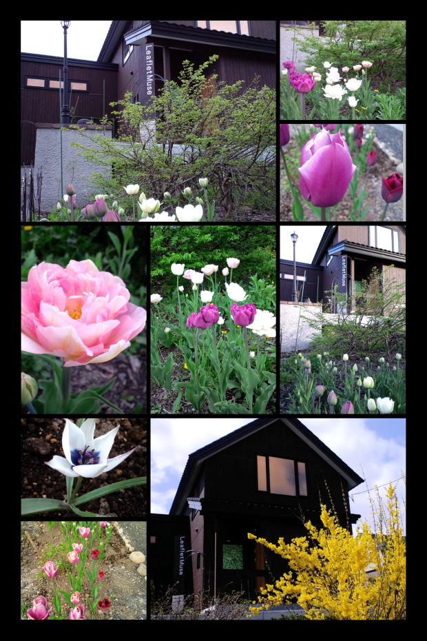 ���[�t���b�g�~���[�Y