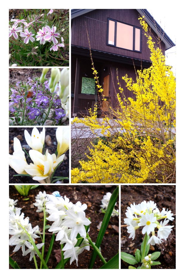 ���[�t���b�g�~���[�Y