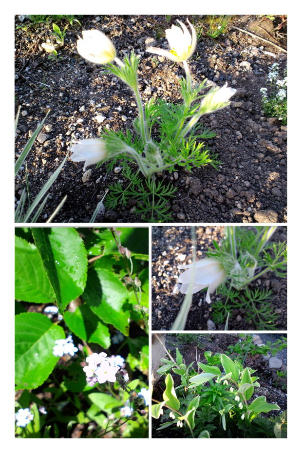 ���[�t���b�g�~���[�Y