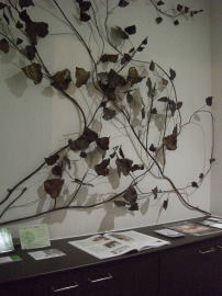 ���[�t���b�g�~���[�Y�̌���