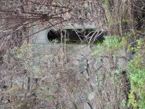 �s�v�c�ȃ|�X�g