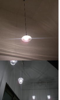 �D�y�̃����^���z�[��