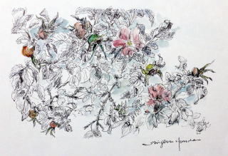 ���[�t���b�g�~���[�Y