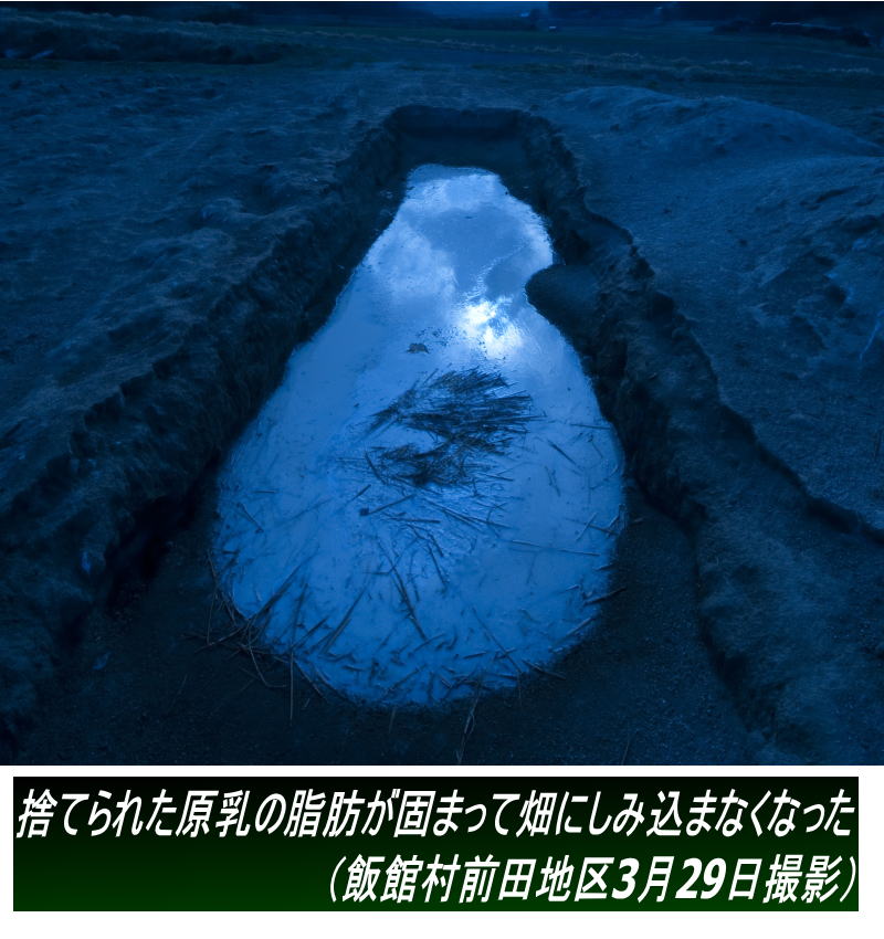 ���[�t���b�g�~���[�Y